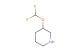 3-(difluoromethoxy)piperidine
