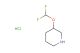3-(difluoromethoxy)piperidine hydrochloride