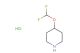 4-(difluoromethoxy)piperidine hydrochloride