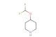 4-(difluoromethoxy)piperidine
