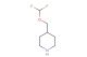 4-((difluoromethoxy)methyl)piperidine