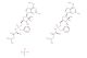 Bemnifosbuvir hemisulfate(Synonyms: AT-527)