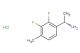 (S)-1-(2,3-difluoro-4-methylphenyl)ethanamine hydrochloride