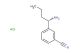 (S)-3-(1-aminobutyl)benzonitrile hydrochloride