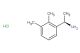 (R)-1-(2,3-dimethylphenyl)ethan-1-amine hydrochloride