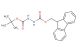 1-((9H-fluoren-9-yl)methyl) 2-(tert-butyl) hydrazine-1,2-dicarboxylate