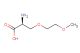 (S)-2-amino-3-(2-methoxyethoxy)propanoic acid