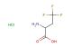 2-amino-4,4,4-trifluorobutyric acid hydrochloride
