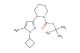 2-(1-cyclobutyl-5-methyl-1H-pyrazol-3-yl)-piperidine-1-carboxylic acid tert-butyl ester