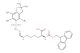 Fmoc-L-HomoArg(Pbf)-OH