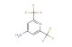 2,6-Bis-trifluoromethyl-pyridin-4-ylamine