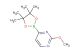 2-methoxy-4-(4,4,5,5-tetramethyl-1,3,2-dioxaborolan-2-yl)pyrimidine