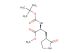 methyl (S)-2-((tert-butoxycarbonyl)amino)-3-((S)-2-oxopyrrolidin-3-yl)propanoate