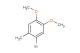 1,2-dimethoxy-4-bromo-5-methylbenzene