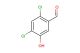 2,4-dichloro-5-hydroxybenzaldehyde