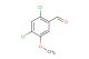 2,4-dichloro-5-methoxybenzaldehyde