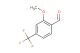 2-methoxy-4-(trifluoromethyl)benzaldehyde
