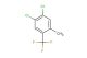 3,4-dichloro-6-(trifluoromethyl)toluene