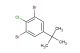 3,5-dibromo-4-chloro-tert-butylbenzene