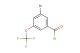 3-bromo-5-(trifluoromethoxy)benzoyl chloride