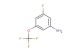 3-fluoro-5-(trifluoromethoxy)aniline