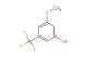 3-methoxy-5-(trifluoromethyl)phenol