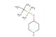 4-(tert-butyldimethylsilyloxy)piperidine