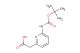 2-(6-((tert-butoxycarbonyl)amino)pyridin-2-yl)acetic acid
