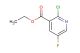 ethyl 2-chloro-5-fluoropyridine-3-carboxylate