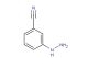3-cyanophenylhydrazine