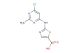 2-((6-chloro-2-methylpyrimidin-4-yl)amino)thiazole-5-carboxylic acid
