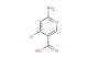 6-amino-4-chloronicotini cacid