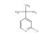 4-(tert-butyl)-2-chloropyridine