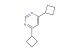 4,6-dicyclobutylpyrimidine