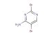 2,5-dibromopyrimidin-4-amine