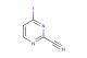 4-iodopyrimidine-2-carbonitrile