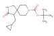 tert-butyl 4-(cyclopropylmethyl)-3-oxo-2,8-diazaspiro[4.5]decane-8-carboxylate