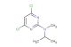 4,6-dichloro-N-isopropyl-N-methylpyrimidin-2-amine