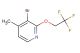 3-bromo-4-methyl-2-(2,2,2-trifluoroethoxy)pyridine