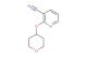 2-(tetrahydro-2H-pyran-4-yloxy)nicotinonitrile