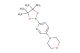4-(6-(4,4,5,5-tetramethyl-1,3,2-dioxaborolan-2-yl)pyridin-3-yl)morpholine