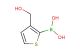 3-(hydroxymethyl)thiophen-2-ylboronic acid