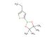 2-(4-ethylthiophen-2-yl)-4,4,5,5-tetramethyl-1,3,2-dioxaborolane