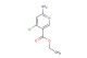 ethyl 6-amino-4-chloronicotinate