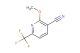 2-methoxy-6-(trifluoromethyl)nicotinonitrile