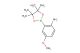 4-methoxy-2-(4,4,5,5-tetramethyl-1,3,2-dioxaborolan-2-yl)aniline