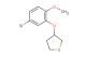 3-(5-bromo-2-methoxyphenoxy)tetrahydrothiophene