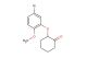 4-bromo-2-(2-oxocyclohexyloxy)anisole