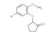 2-(5-bromo-2-methoxyphenoxy)cyclopentanone