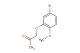 1-(5-bromo-2-methoxyphenoxy)propan-2-one